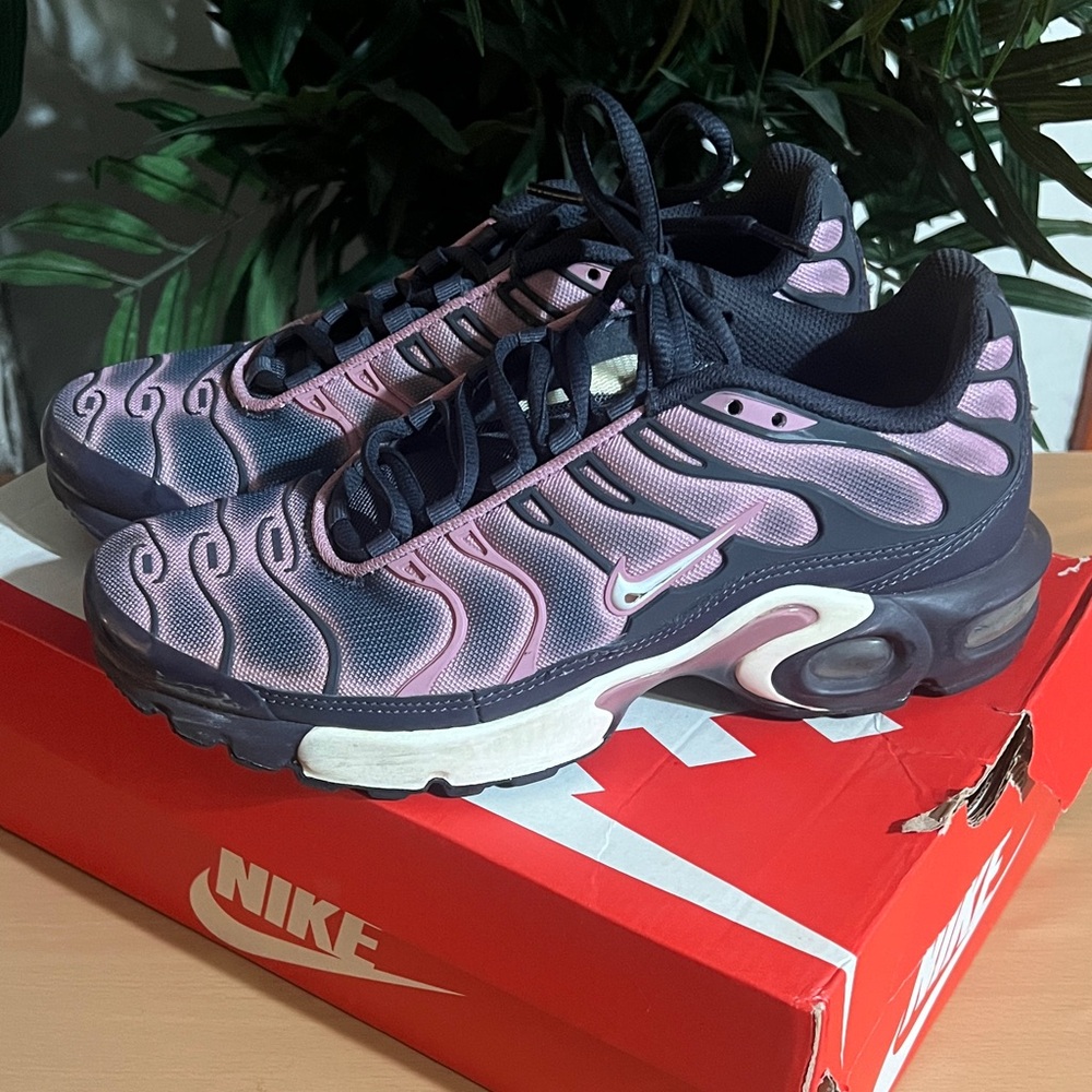 Nike Air Max Plus Shoes